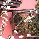 Homestay Lovely Cat's *