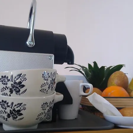 Lovely Cat's Homestay Urrunaga