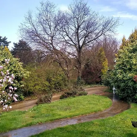 Homestay Lovely Cat's