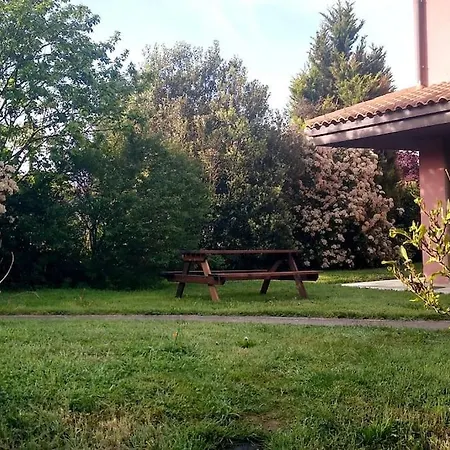 Проживание в семье Lovely Cat's Urrunaga