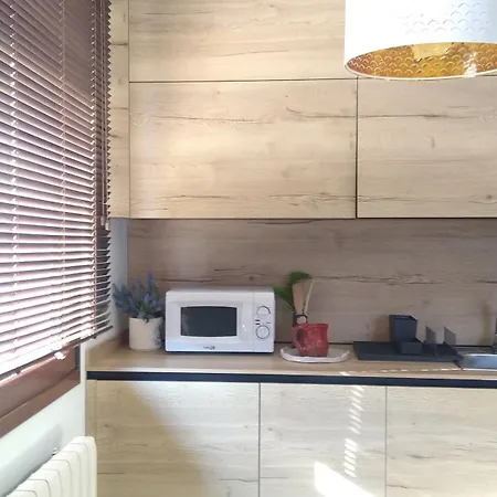 Lovely Cat's Urrunaga