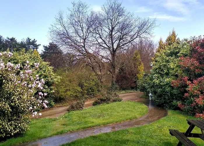 Habitación en casa particular Lovely Cat's