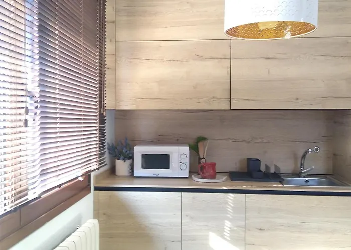 Lovely Cat's Urrunaga